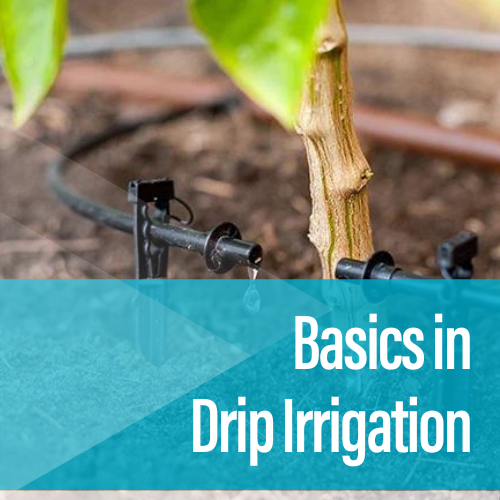 Basic in Drip Irrigation - Virtual